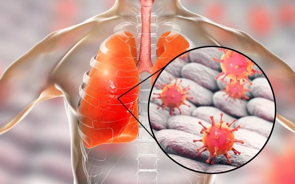 kaiyunapp-关于风云突变浙江稠州转会期完成体检，德国杯版图或变，引发热议，医务组通报恢复的信息