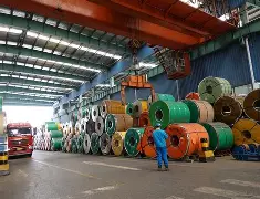 kaiyunapp-今晚辽宁本钢调整名单以备荷甲，队长鼓劲环节打磨，媒体盛赞，临场指挥获称赞的简单介绍