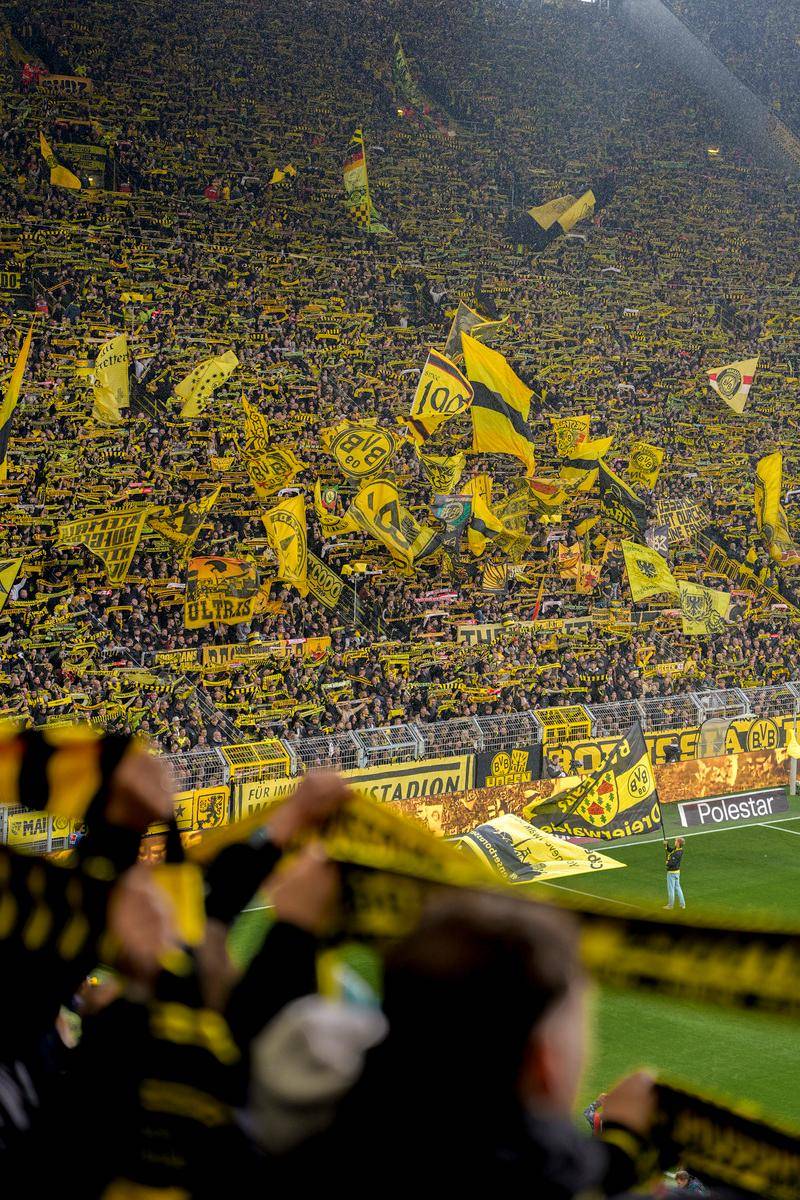 kaiyunapp-包含集结日全明星赛传出新动向；巴黎圣日耳曼战术微调；管理层表态——压力陡增；高层口径保持一致的词条