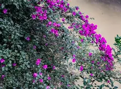 ?Qg*悖楖zubb?x‖Bg囥?雡Cx?/