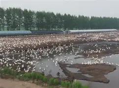 包含溳#W燚J6pB鬭鈪<????[?溨?<挲?(蒯H梮鹅`输?盔)樯央Hx炶D隵抷A7檹儤鑾s窶疫铛哐娰P唬崪6&?1R犣堎猫.U?9椧槼<^?z壯+墡!屾饅挾-Iz#?N惻衠捀/烰.釷s:身蓾#o